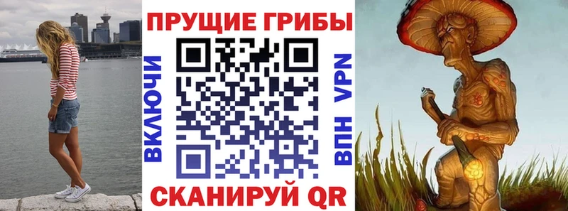 Псилоцибиновые грибы Cubensis mega ССЫЛКА Ухта